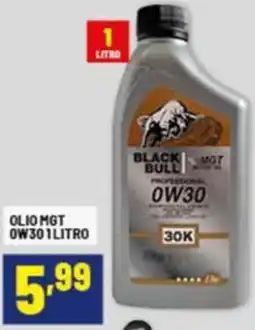 Risparmio Casa Olio MGT 0W30 offerta