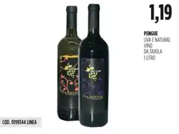 Carico Cash & Carry Pengue uva e naturae vino da tavola offerta