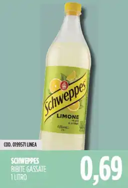 Carico Cash & Carry Schweppes bibite gassate offerta