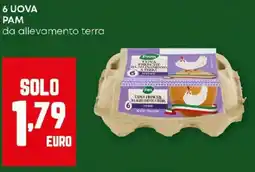 Pam 6 uova pam da allevamento terra offerta
