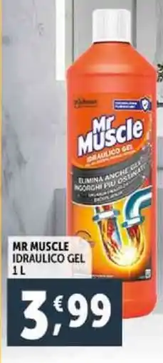 Deco Supermercati Mr muscle idraulico gel offerta