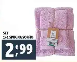 Deco Supermercati Set 1+1 spugna soffio offerta