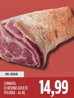 Carico Cash & Carry Lombata di bovino adulto polonia offerta