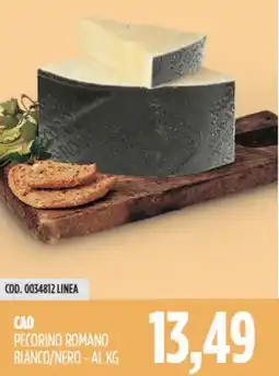 Carico Cash & Carry Cao pecorino romano bianco/nero offerta