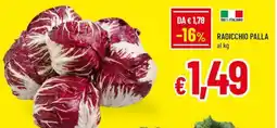 A&O Radicchio palla offerta