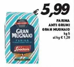 Coal Farina anti grumi GRAN HUONAIO offerta