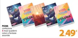 Famila Superstore PIGNA confezione 5 maxi quaderni colori e fantasie assortite offerta