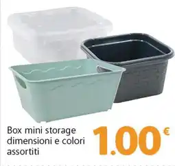 Famila Superstore Box mini storage dimensioni e colori assortiti offerta