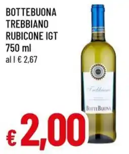 A&O Bottebuona trebbiano rubicone IGT offerta