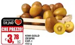 Il Gigante Kiwi gold zespri offerta