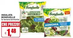 Il Gigante Insalata bonduelle le tenere/armonia offerta