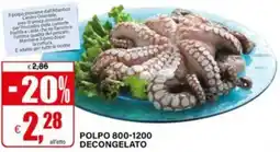 Il Gigante Polpo 800-1200 decongelato offerta