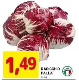 DPiù Radicchio palla offerta
