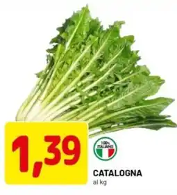 DPiù Catalogna offerta