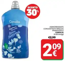 Supermercati Gulliver Ammorbidente concentrato brezza primaverile CONSILIA offerta