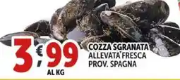 Deco Supermercati Cozza sgranata offerta