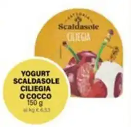 Il Gigante Yogurt scaldasole ciliegia o cocco offerta