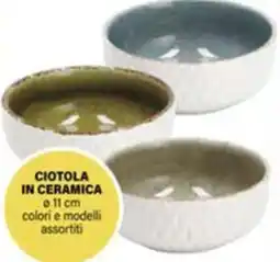 Il Gigante Ciotola in ceramica offerta