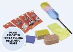 Il Gigante Panni assortiti per la pulizia dell'auto start offerta