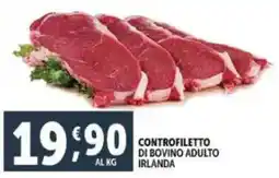 Deco Supermercati Controfiletto di bovino adulto irlanda offerta