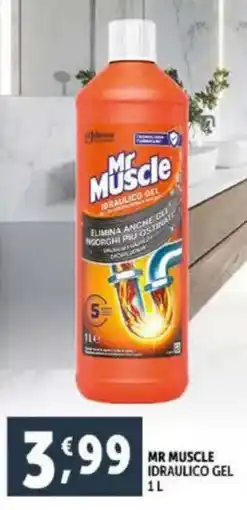 Deco Supermercati Mr muscle idraulico gel offerta