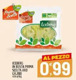 Ard Discount Iceberg in busta prima scelta ard offerta