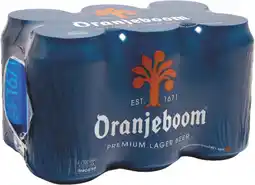 MD Discount 6 BIRRE offerta