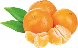 MD Discount MANDARINI offerta