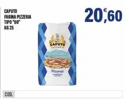 Adhoc Caputo farina pizzeria tipo "00" offerta