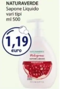 Acqua & Sapone NATURAVERDE Sapone Liquido offerta