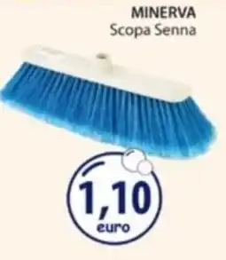 Acqua & Sapone MINERVA Scopa Senna offerta