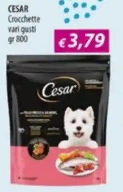 Acqua & Sapone CESAR Crocchette offerta