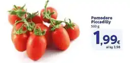 Sigma Pomodoro Piccadilly offerta