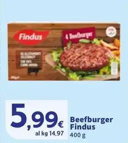 Sigma Beefburger Findus offerta