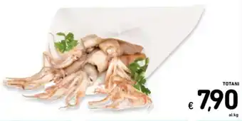 Spazio Conad Totani offerta