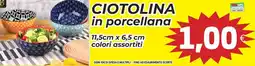 Coop Ciotolina in porcellana offerta