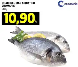 Coop Orate del mar adriatico cromaris offerta