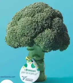 MD Discount Broccoli offerta