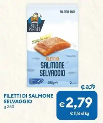 Filetti di salmone selvaggio BLUE PLANET