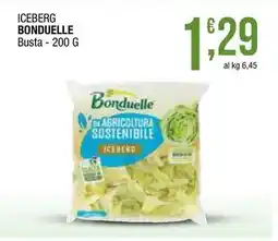 Sidis Iceberg BONDUELLE Busta offerta