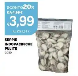 Ekom Seppie indopacifiche pulite offerta