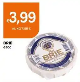 Ekom Brie offerta