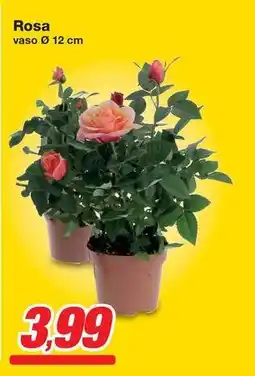 Prix Quality Rosa vaso Ø 12 cm offerta