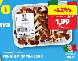 ALDI I COLORI DEL SAPORE Funghi pioppini offerta