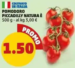 PENNY POMODORO PICCADILLY NATURA È offerta