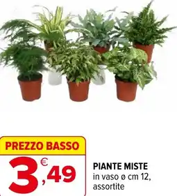 Iperal Piante miste offerta
