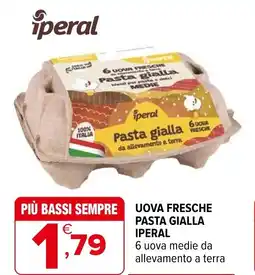 Iperal Uova fresche pasta gialla iperal 6 uova medie da allevamento a terra offerta