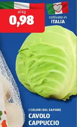 ALDI I colori del sapore cavolo cappuccio offerta