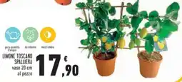 Conad Limone toscano spalliera offerta
