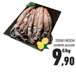 Conad Totani freschi offerta